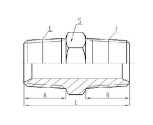 美製布錐管螺紋（wén）密（mì）封過渡接頭
