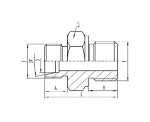 公製外螺紋（wén）24°內錐麵密封（fēng）|英製外螺紋六角（jiǎo）端麵O形圈密封