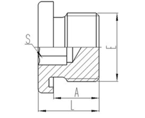公製（zhì）外螺紋ED膠墊密封（fēng）內六角堵頭